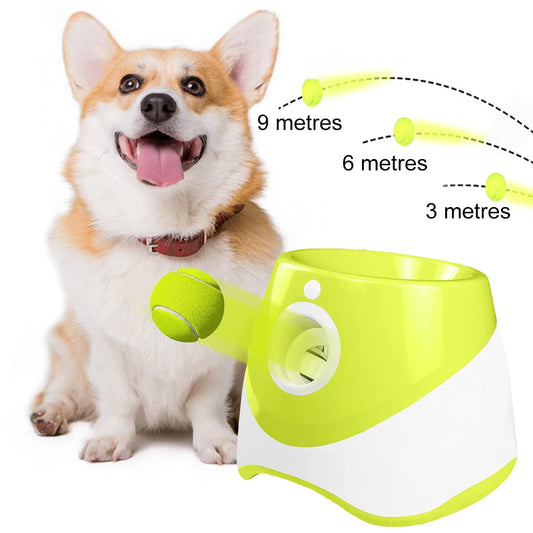 Dog Tennis Launcher Automatic