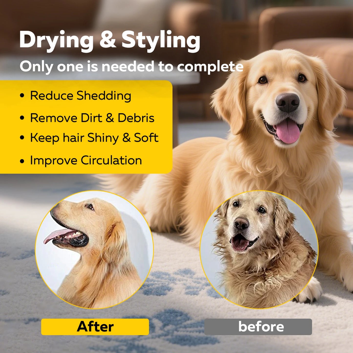 Portable Pet Hair Dryer Dog Grooming Blower -High Velocity Quiet Lightweight 1.2lbs with 3 Speeds