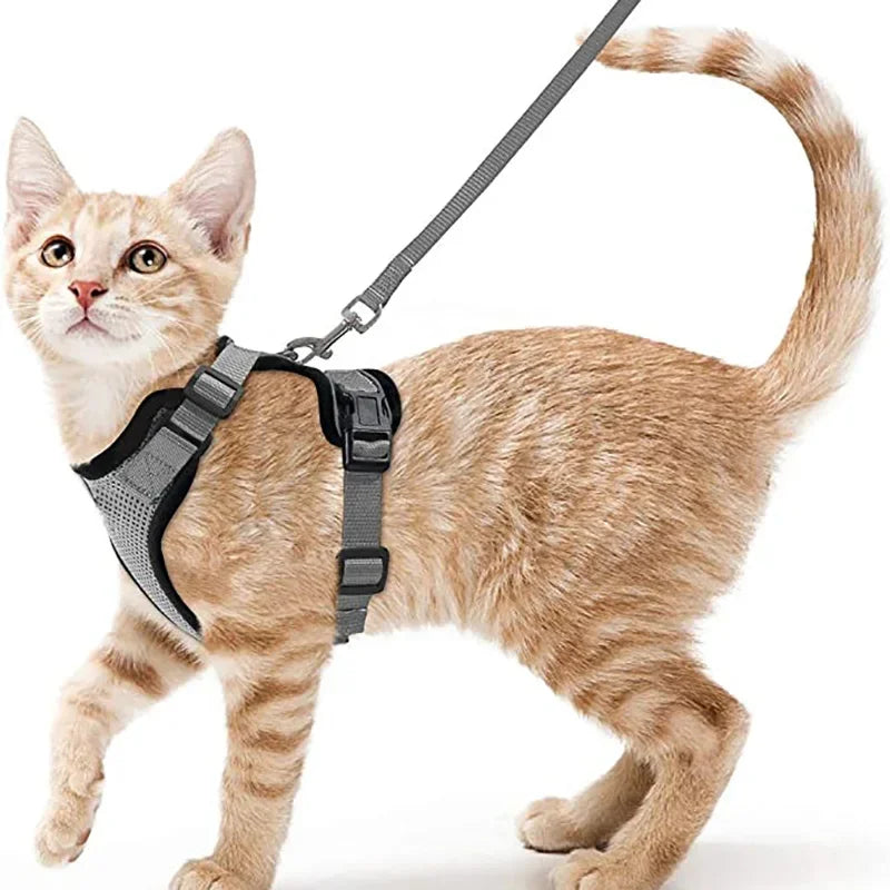 Cat Harness and Leash for Walking, Escape Proof Soft Adjustable Vest Harnesses for Cats
