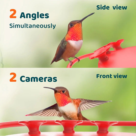 Birdfy Hummingbird Feeder with Dual Cameras - 2K HD Smart Cameras Solar Powered,