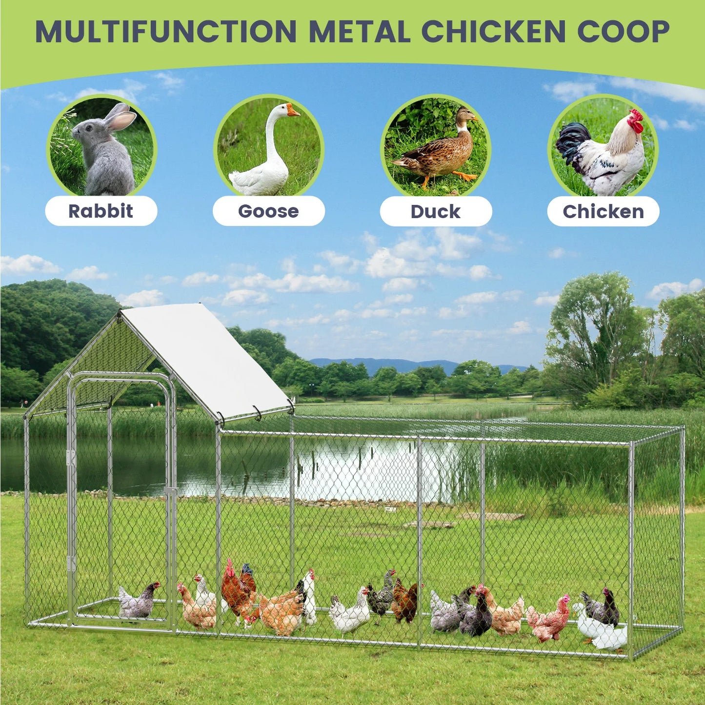 Poultry Cage with Waterproof Cover