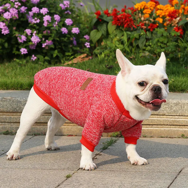 Manufacturer Customizes French Bulldog, Pug, Dog, Cat, Pet Clothes,