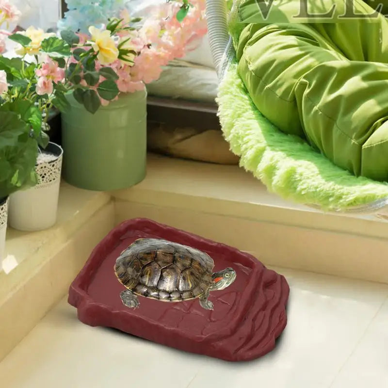 Snake, Bearded Dragon Water Dish Reptile Bathing Pool Aquarium Ornament Tortoise