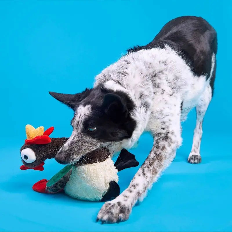 Squeaky Crinkle Rooster Dog Toy for Chewers