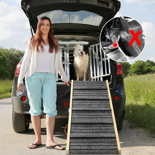 Dog Ramp