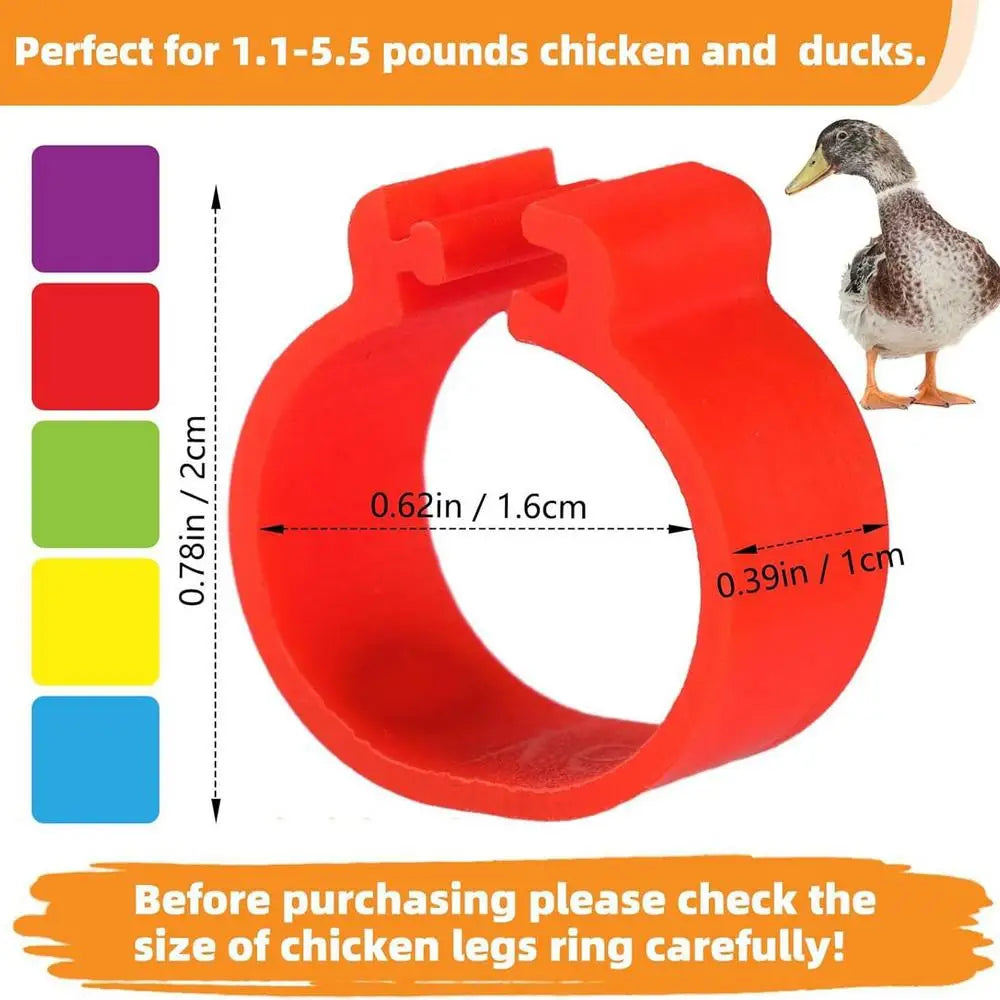 Duck Chicken Poultry Leg Tags Numbered