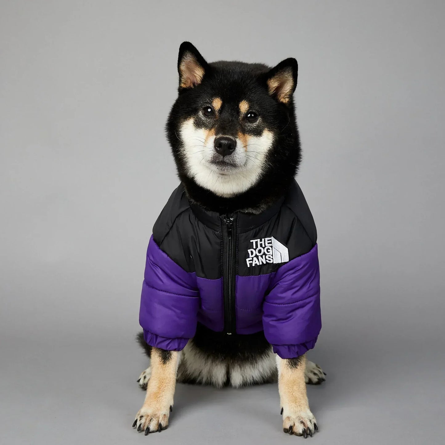 Winter Pet Dog Down Jacket Clothes for Small Medium Dogs