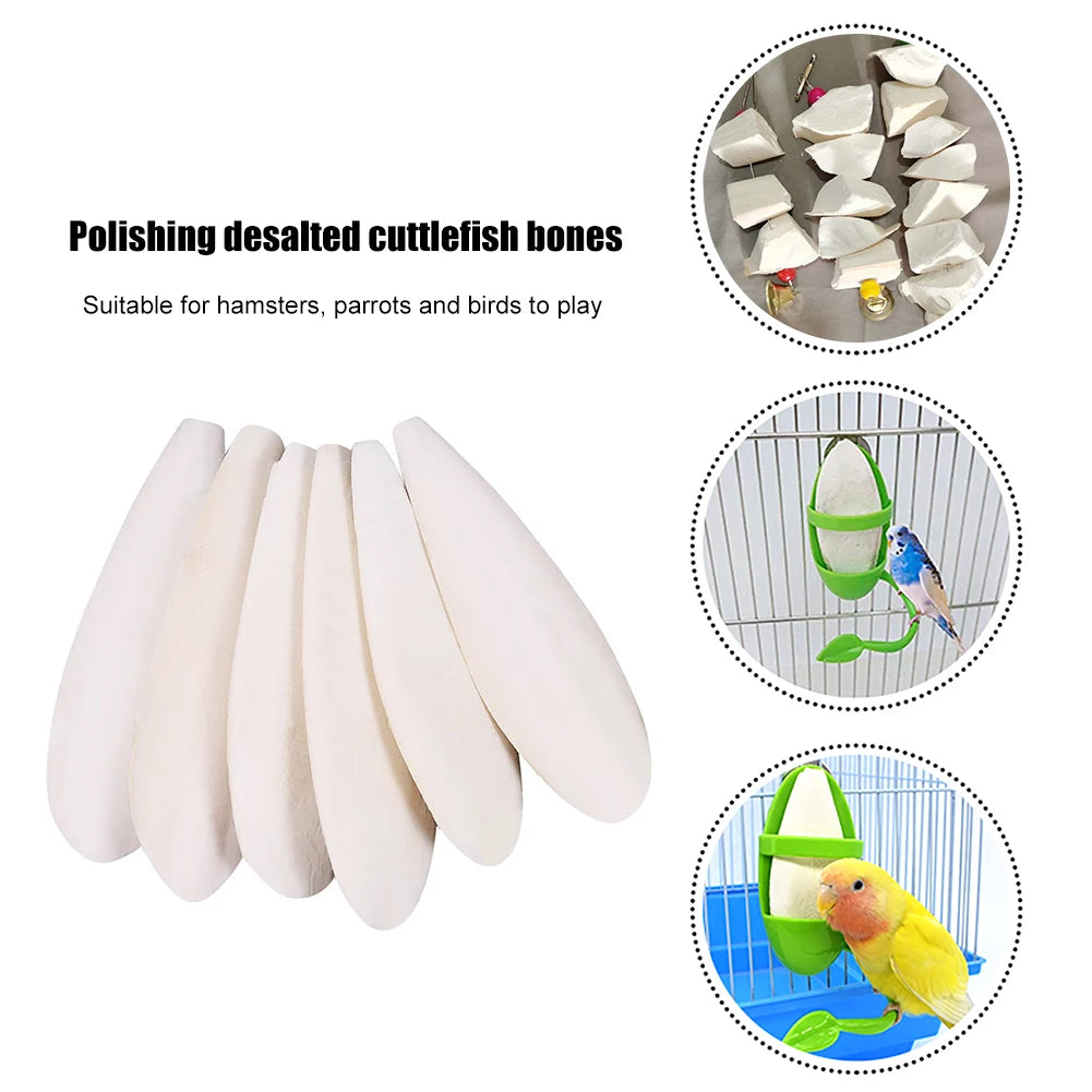 Cuttlefish Bone Bird Toys for Pet Parrot  Parakeet Cockatiel Molars