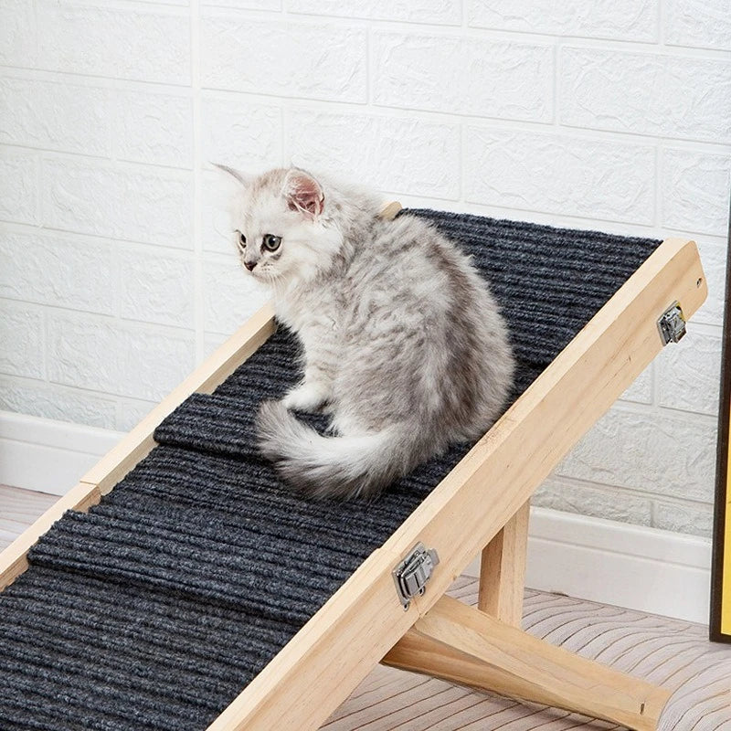 Dog Ramp