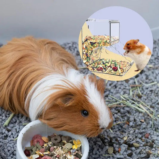 Pet Food Bowl Clear Ferret Cage Bottle