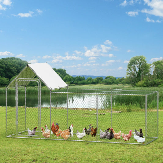 Poultry Cage with Waterproof Cover