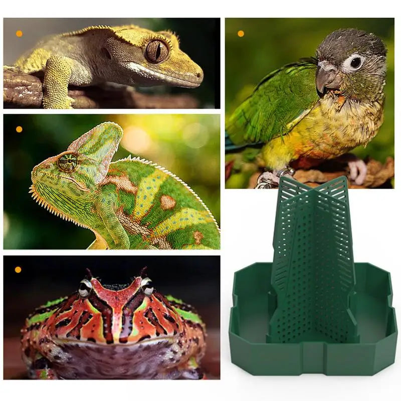 Bearded Dragon Feeder Chameleon Feeder