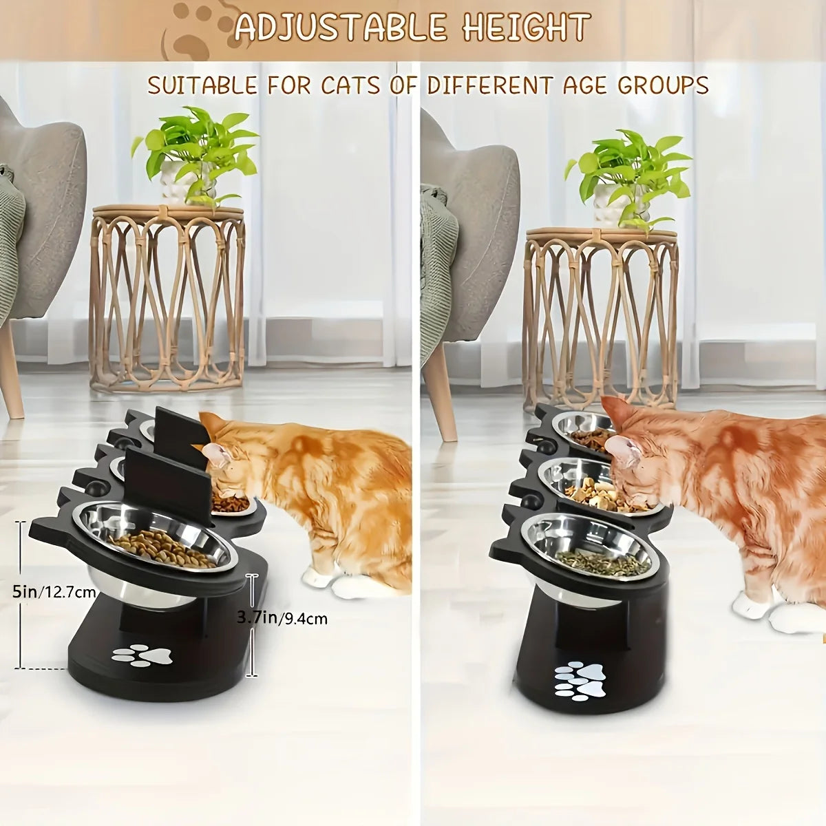Elevated Food Bowls Cats and Puppy