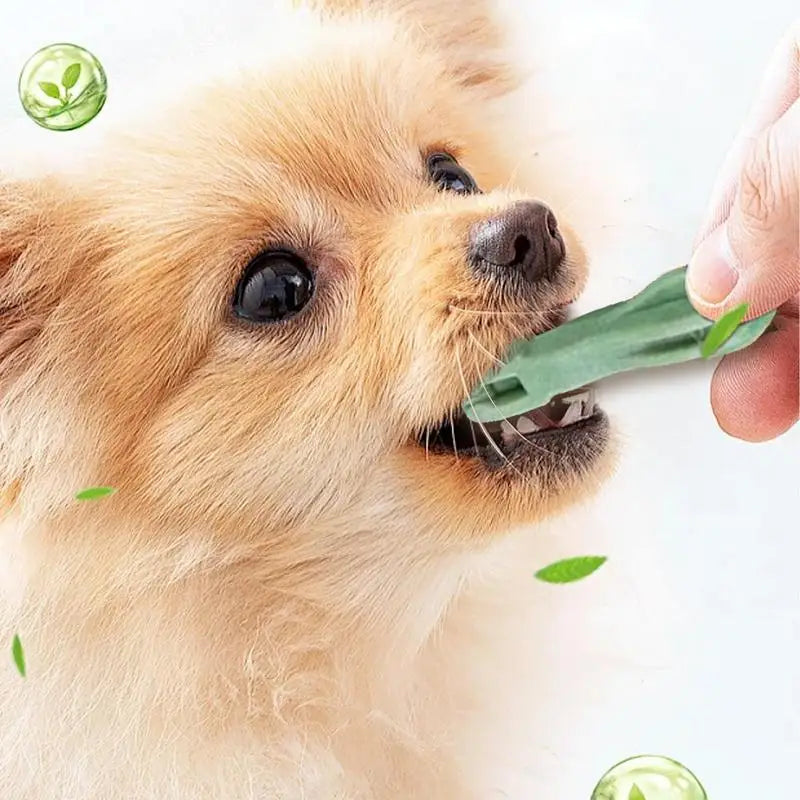 Dog Treats Chew Sticks