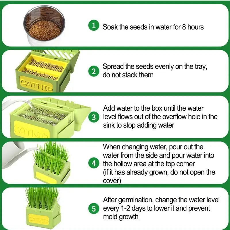 Cat Grass Planter Box Anti Digging Catnip Grass Sprouting Trays Removable