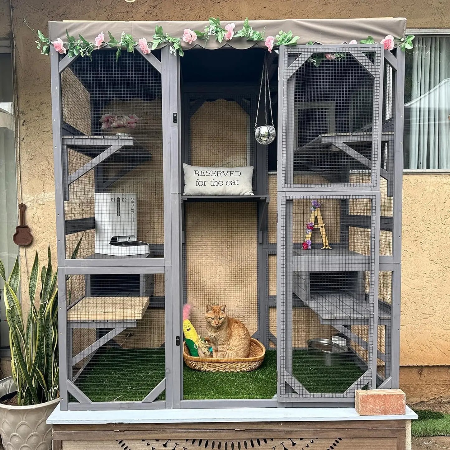 70in Wooden Outdoor Cat Enclosure Large Door Platforms Condo Playpen House