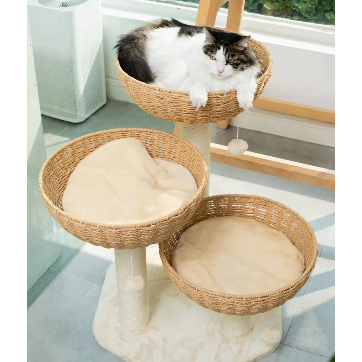 3 Handwoven Large Nt Baskets Bed, Window Perch for Large Cats  to 20LBS