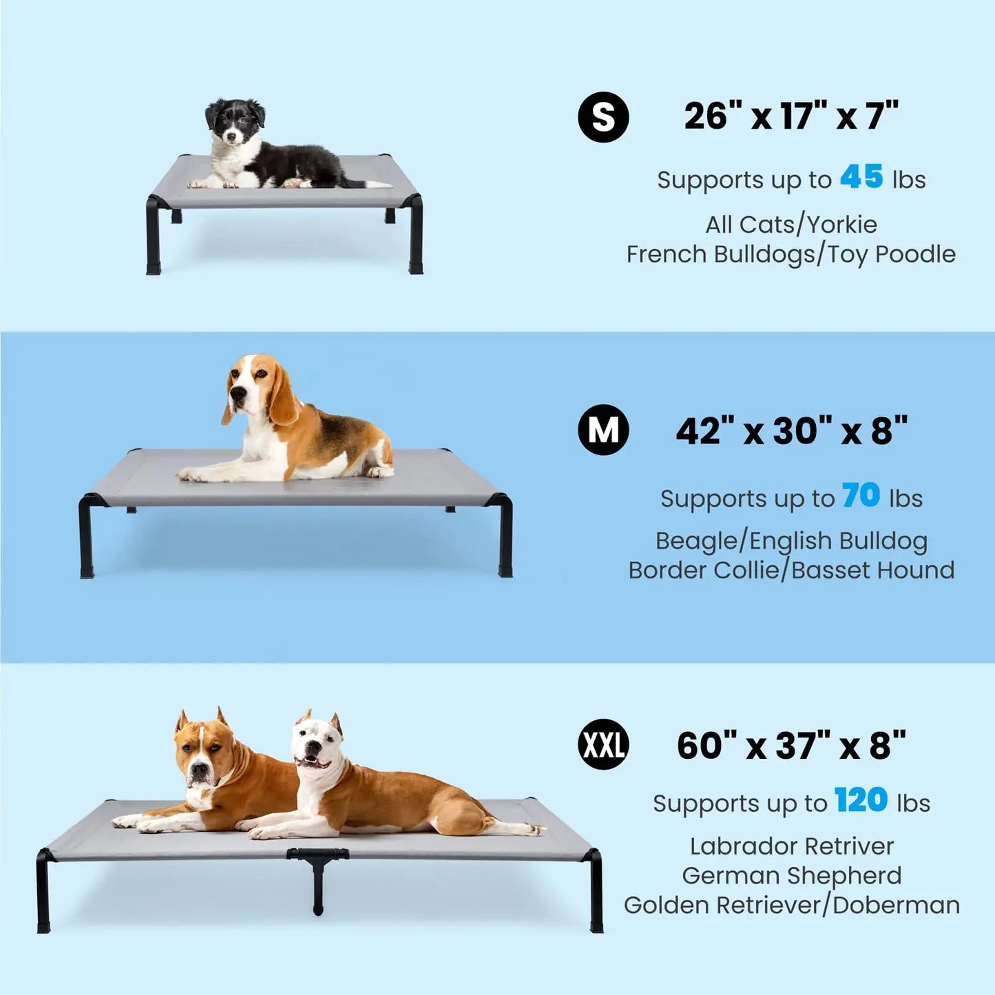 Elevated Dog Cat Bed