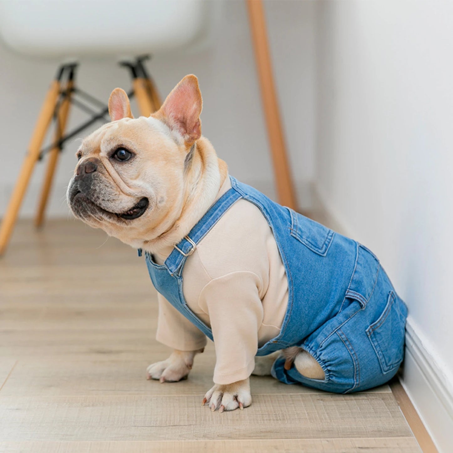 French Bulldog Denim Jumpsuit - Stylish Pet Clothes for All Seasons, Adjustable