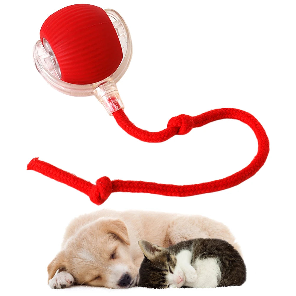 1PCS Cat Interactive Rechargeable Self Rotating Ball