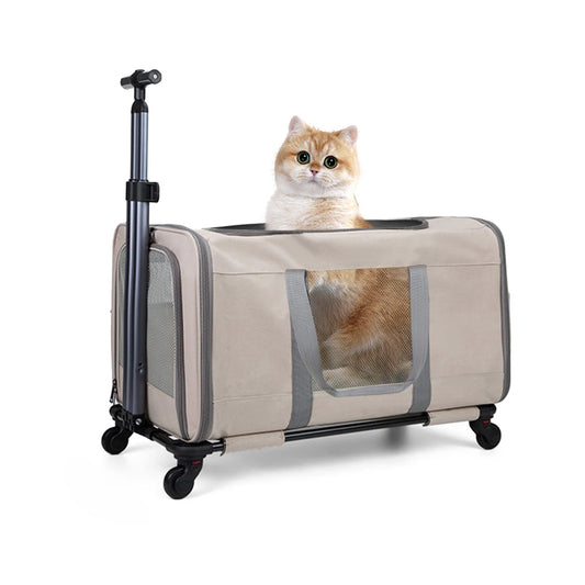 Cat trolley for 2 cats –  Transport bag with wheels & safety belts for travel