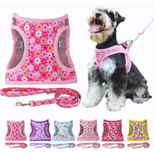 Step in Dog Harness Leash Set for All Weather Use with Reflective Details NoPull Design