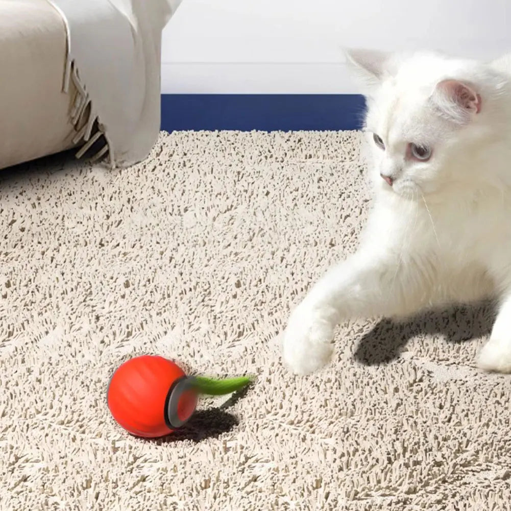 Moving Cat Ball USB Rechargeable