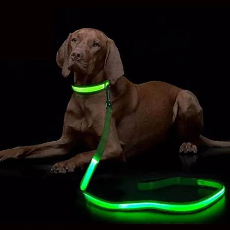 Dog Safety Flashing Glowing Dog Collar Harness Electronic Pet Accessories