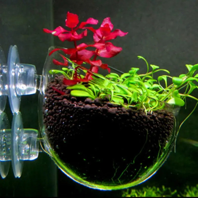 Acrylic Aquatic Plant Cup With Suction Holder Water Potted Planting Cup Aquarium Feeding Tool