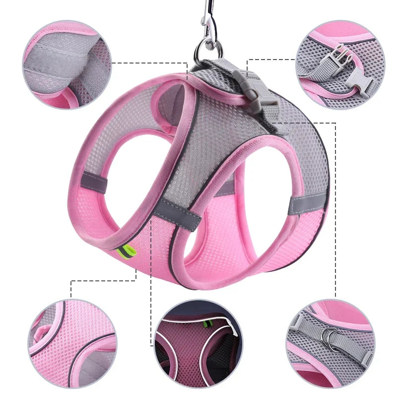 Adjustable Cat Harness Leash Escape Proof Kitten Dog Harness
