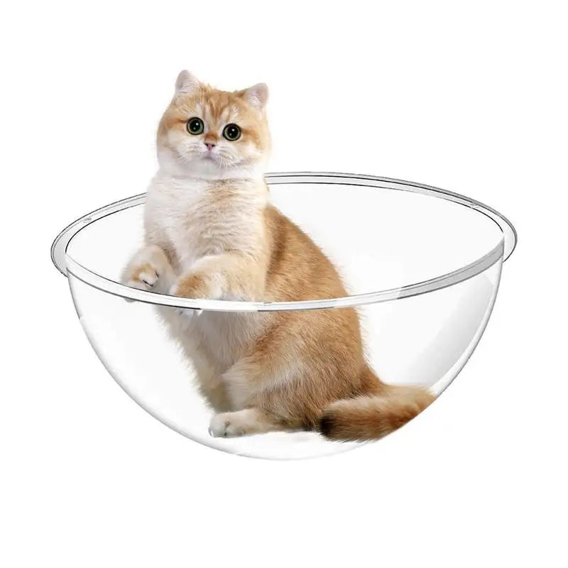 Space Capsule Cat Bed Nesting Bed Pet Supplies Indoors Outdoors Transparent Capsule Dome