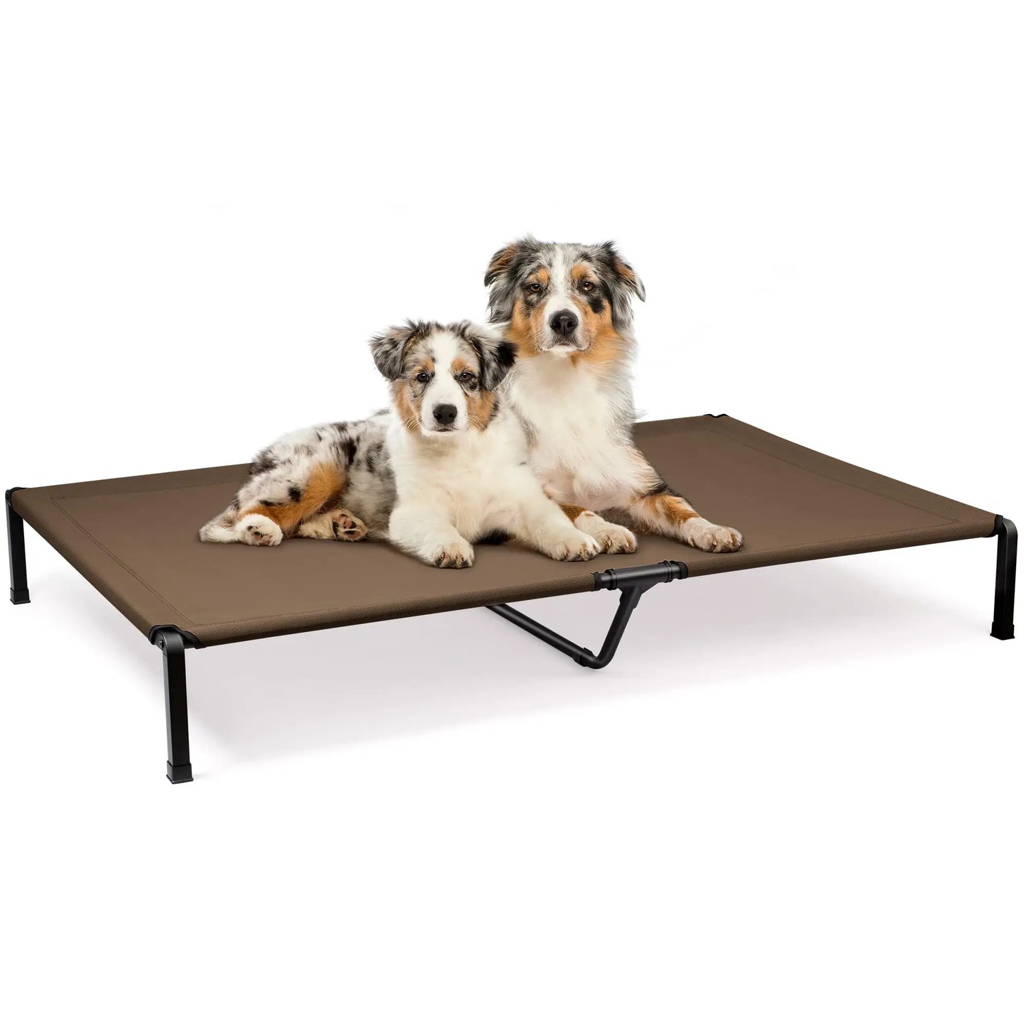 Elevated Dog Cat Bed