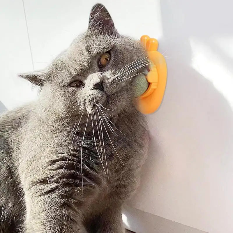 Catnip Wall Ball Catnip Wall Spin Ball Edible Cat Catnip Toys Promotes Digestion Catnip Rollerbal