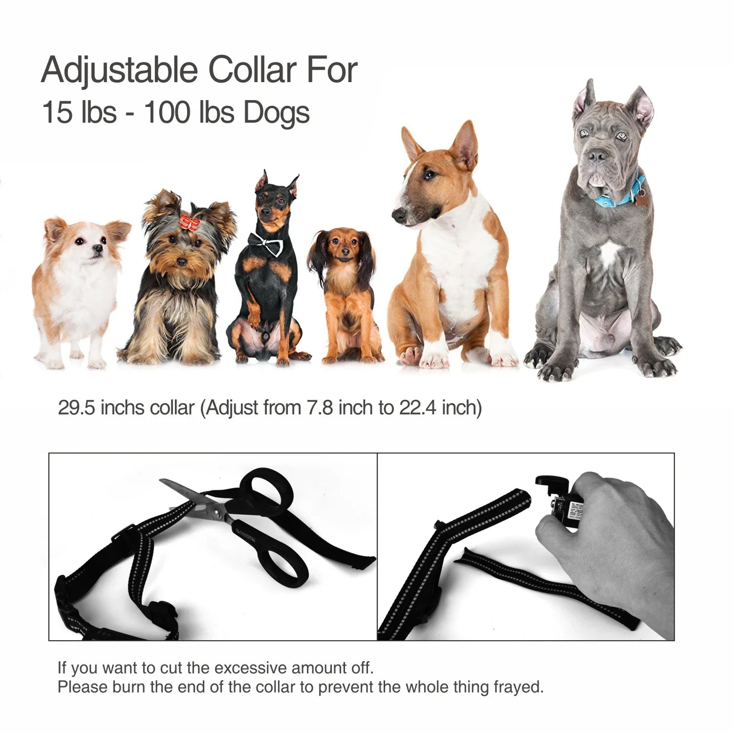 Rechargeable Dog Training Electric Collar Anti No Bark Control For Puppy Dog with Shock Mode Dog Cats